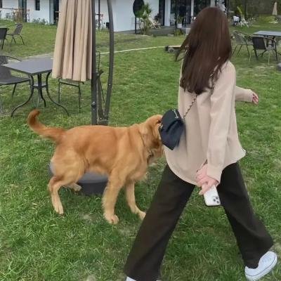 春光乍泄
