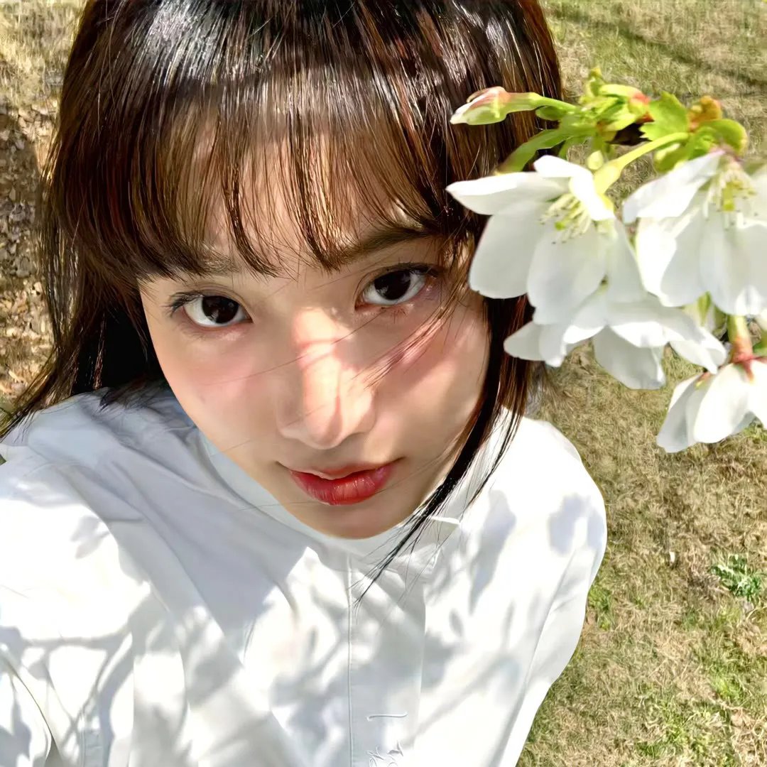 白狼